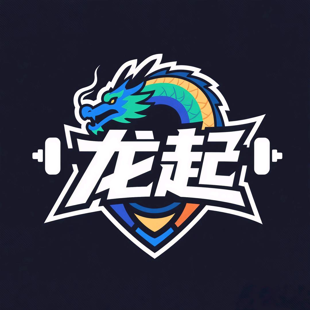 龙起战队