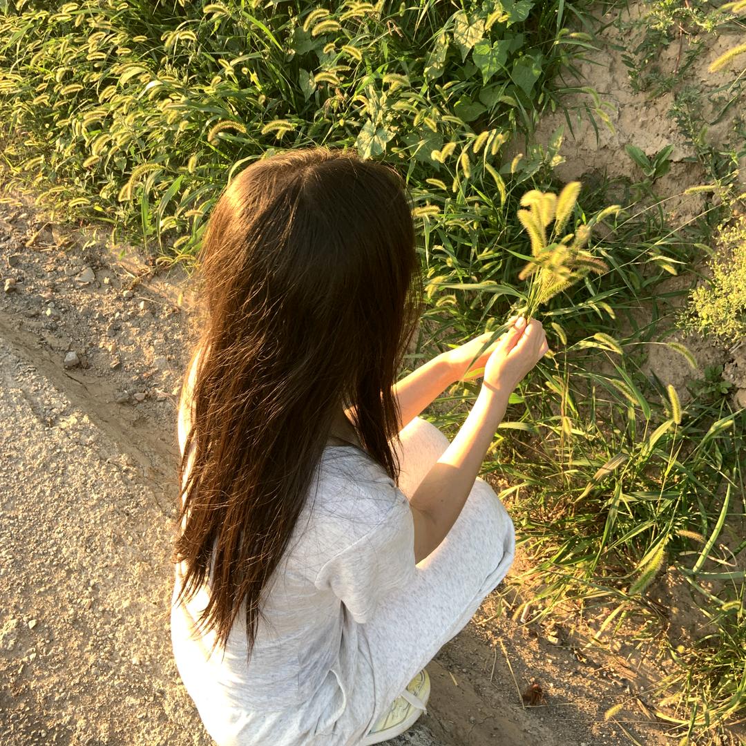 张鱼丸