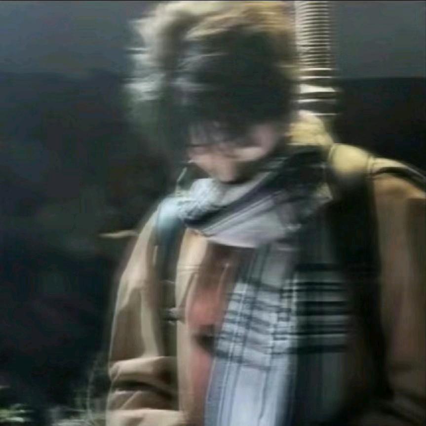 青墨书晚风