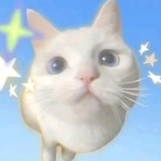 壹栀小熊✨