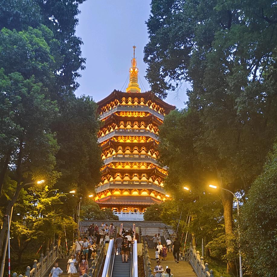 天天分享宠物用品1688