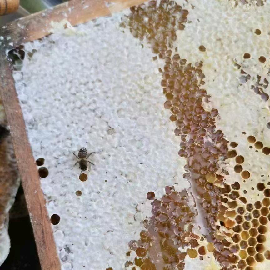 ^痴鈊 ༴絕纞  …