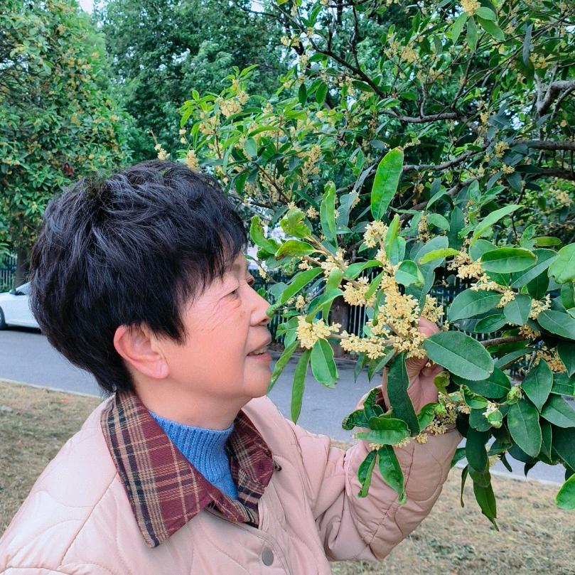 潇湘