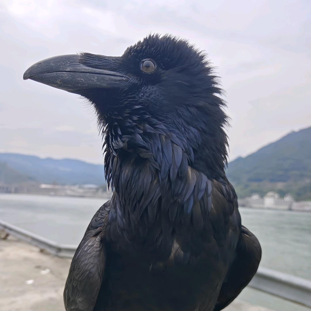 🌴创造辉煌🌴