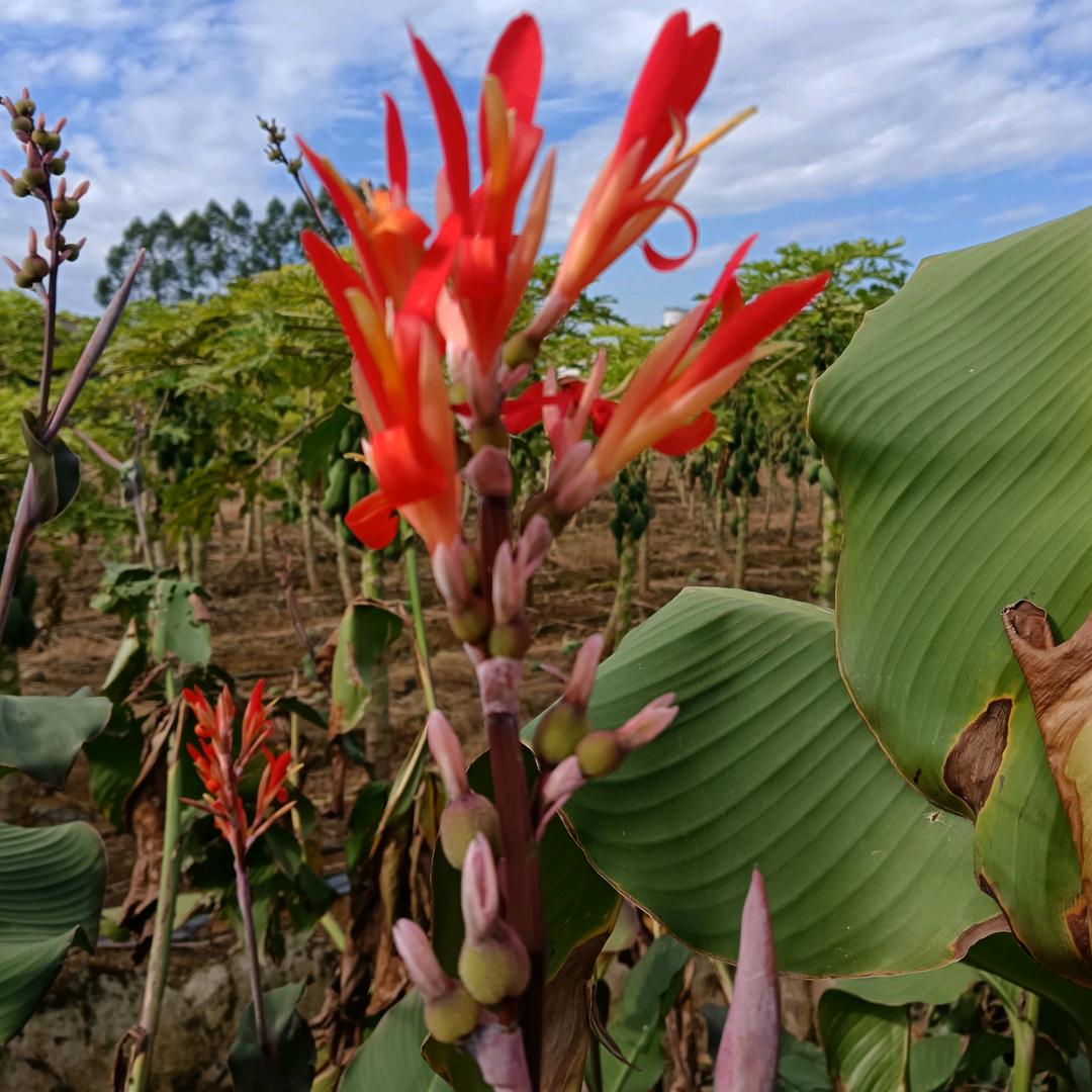 ✨美婷✨🌈🌈
