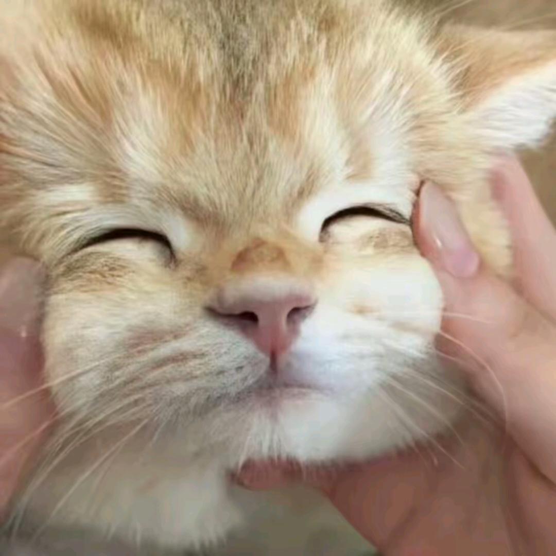 哈亚瑟