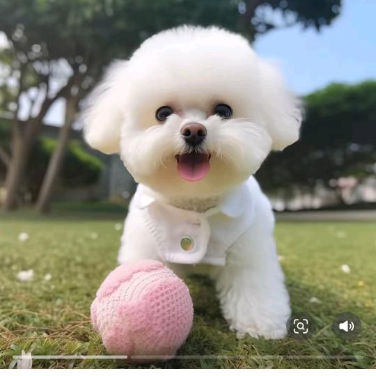 悦妈精品