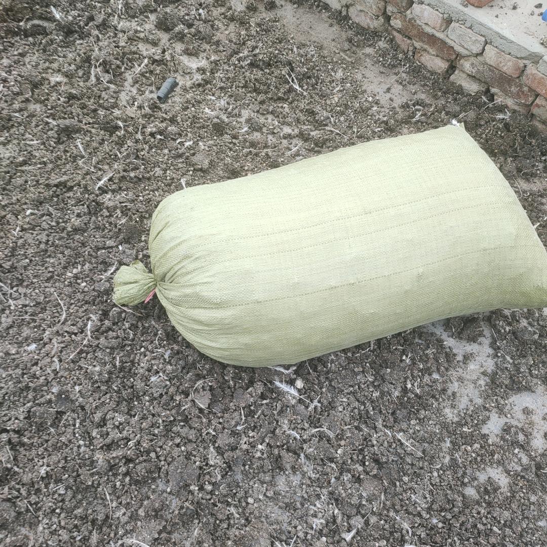 老姜卖鸡粪羊粪鸟粪