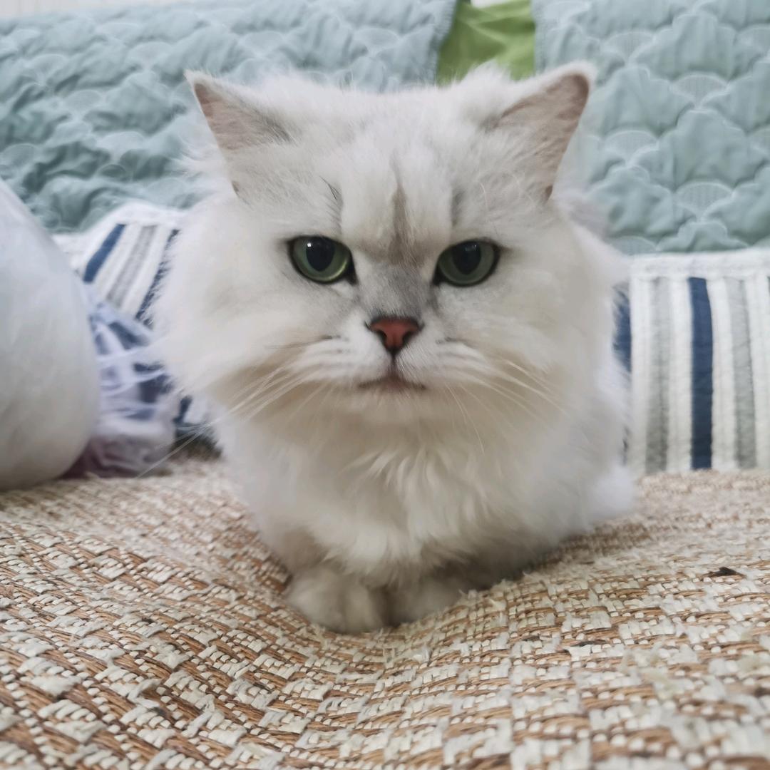 来自扬州的思念