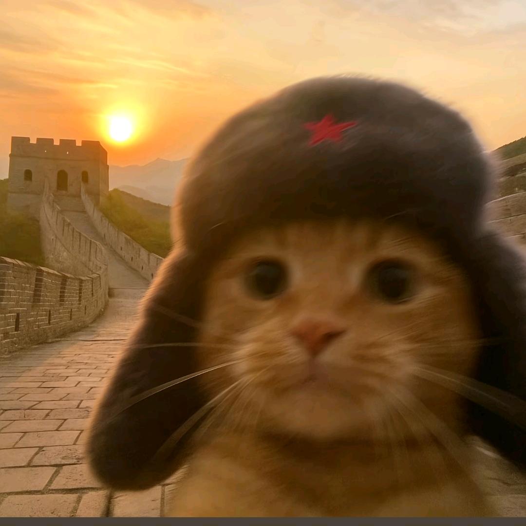 波波说世界