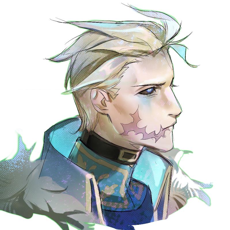 毛血鸭