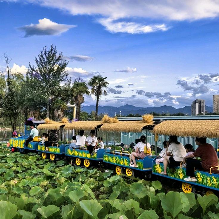 稻田小火车[小飞]