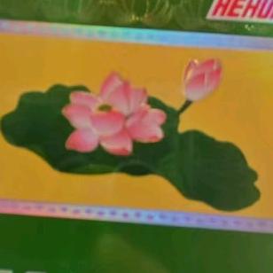 花开如梦