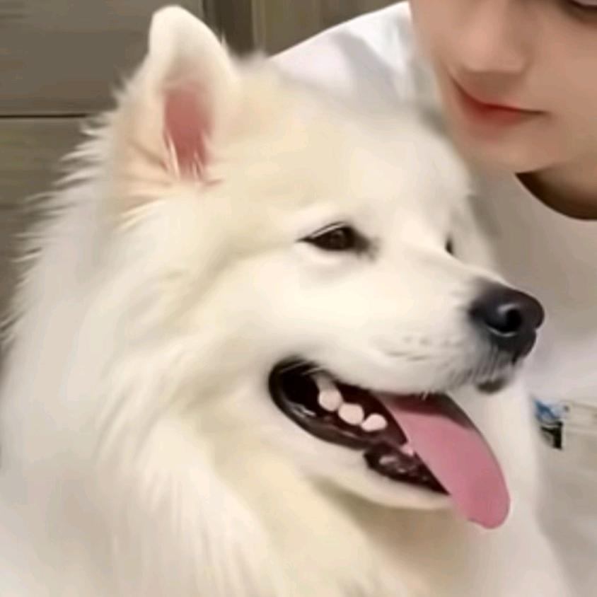 ㅤㅤ⠀ㅤ⠀ㅤ⠀ㅤ⠀⠀