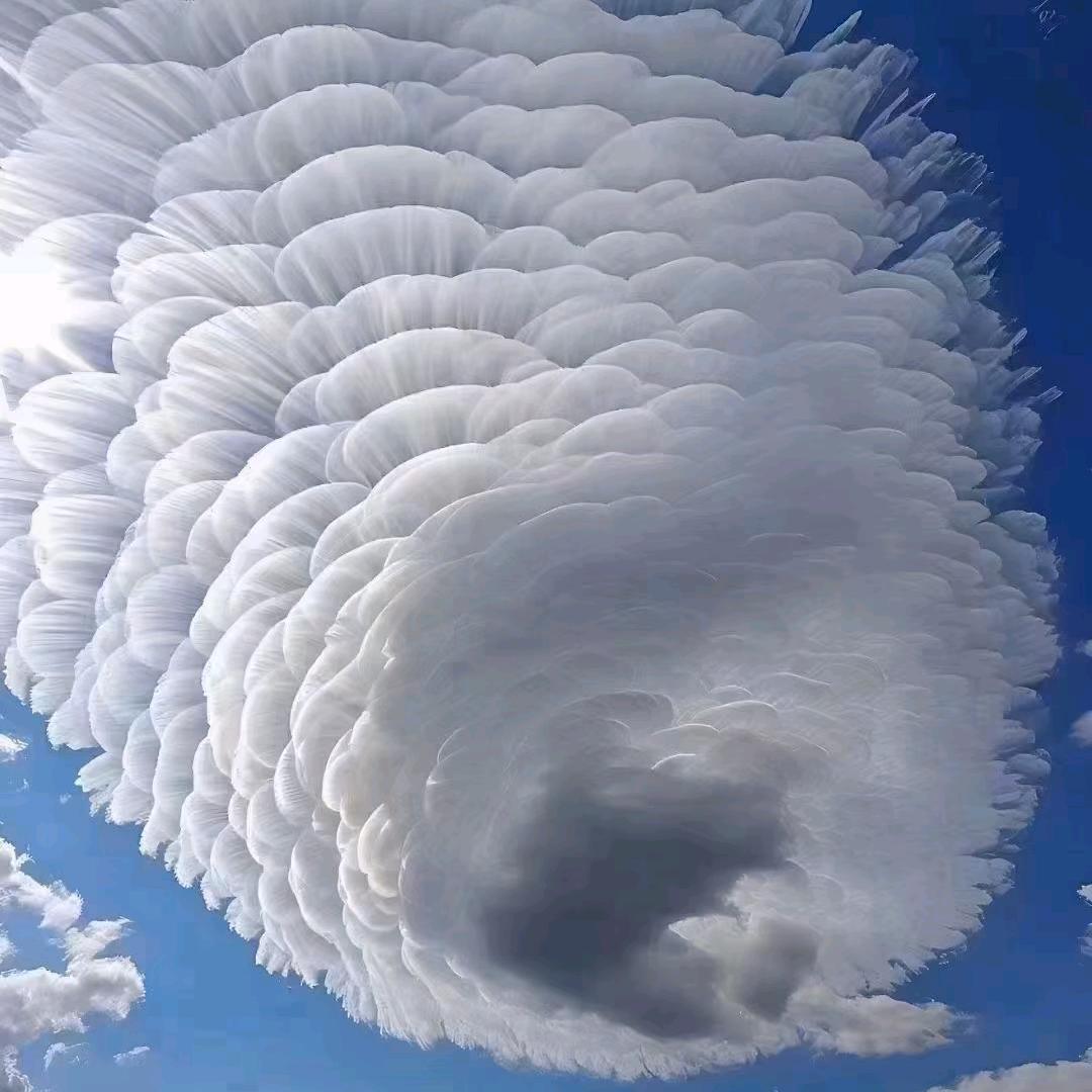 鹏哥