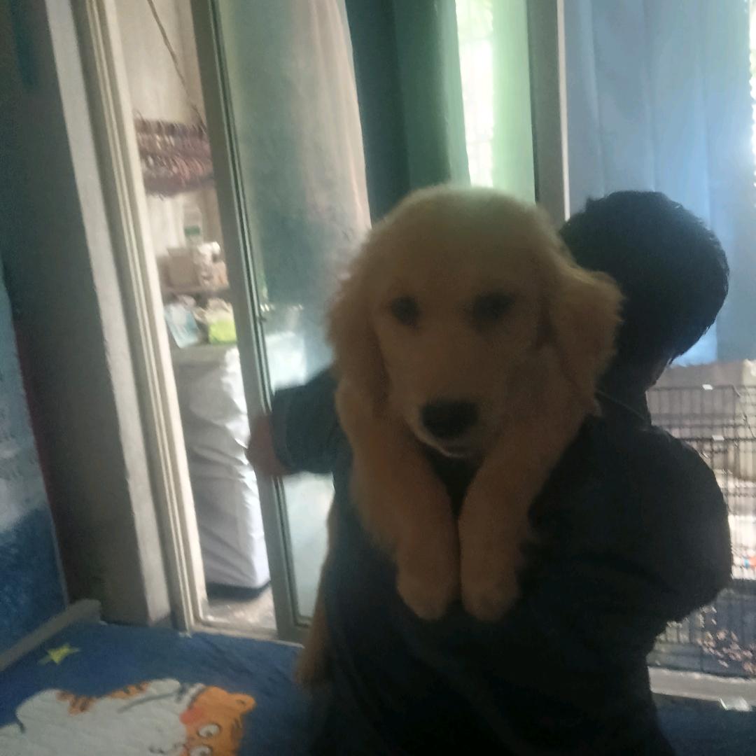 ℋღ爱你᭄①🍒万年🕊💞࿐