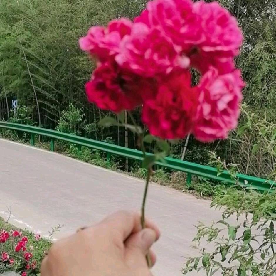 一心为家
