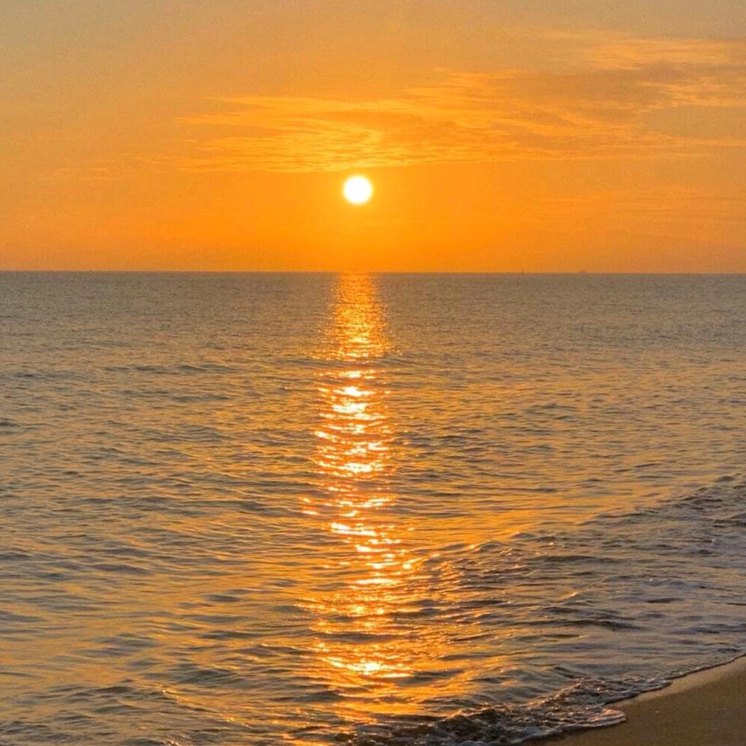 城南主流专业烫染-惊鸿