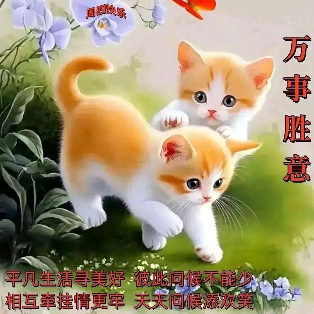 健康长寿