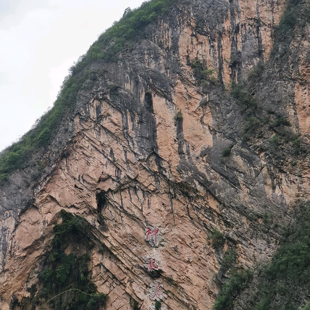小羊同学