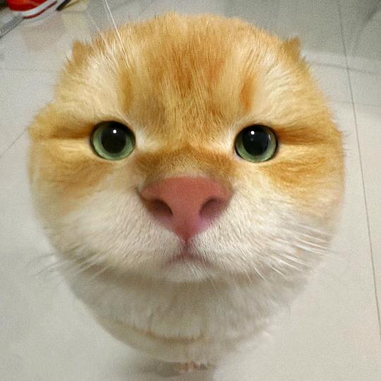 不要辣