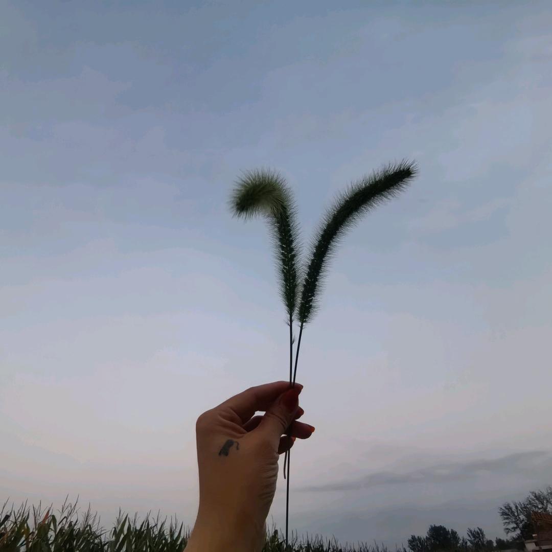 ❤ 女开 U . 甜 ❤