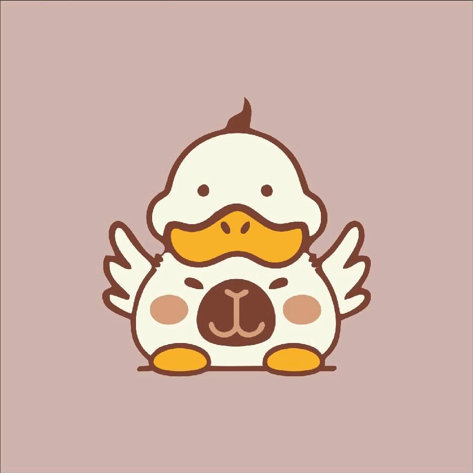 小花家豚鼠宠物公社