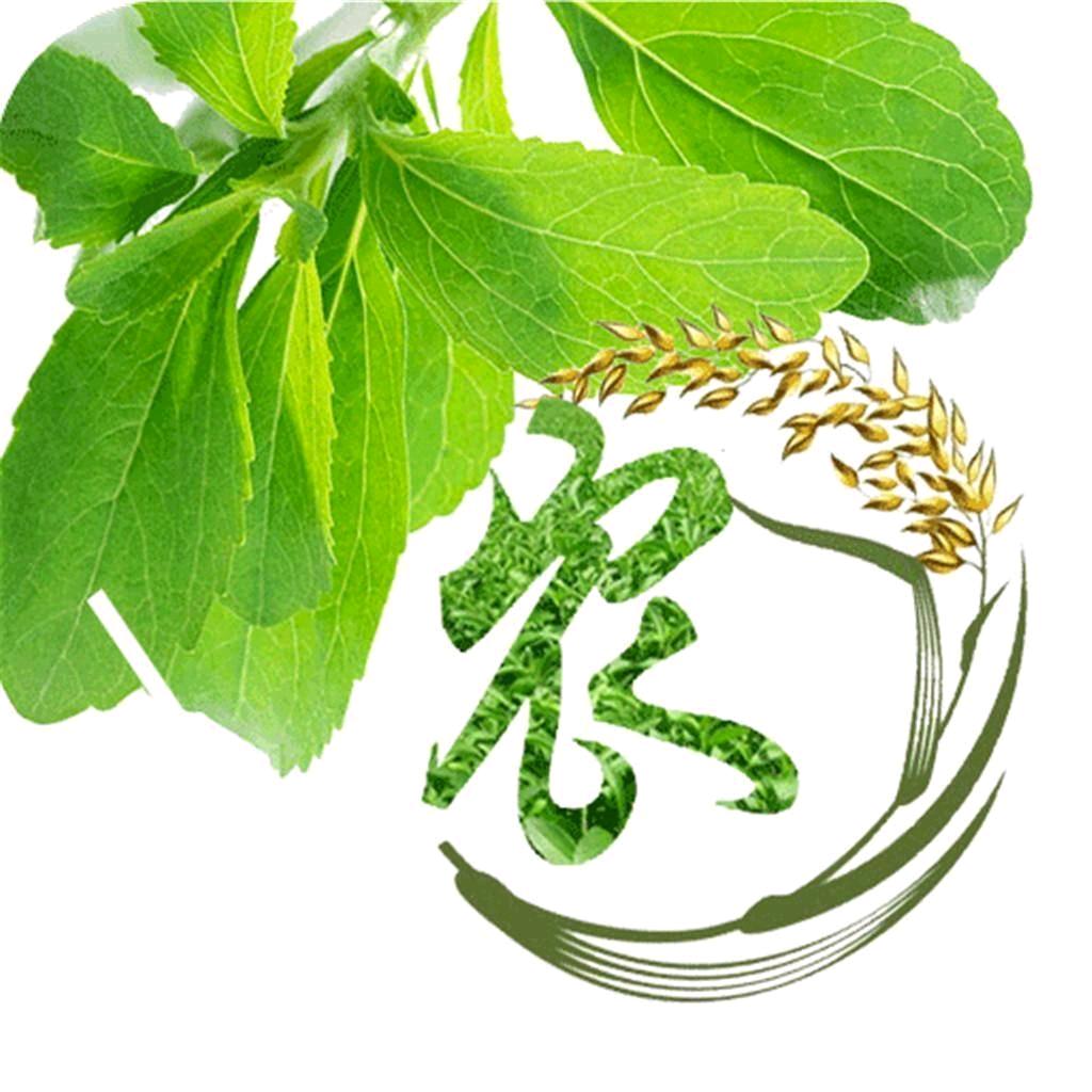 爱幻～婷婷