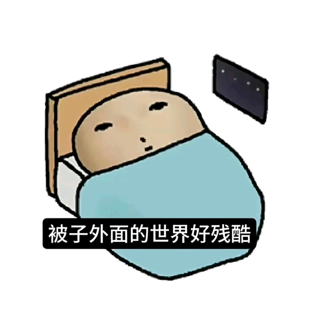 ✈️✈️✈️✈️