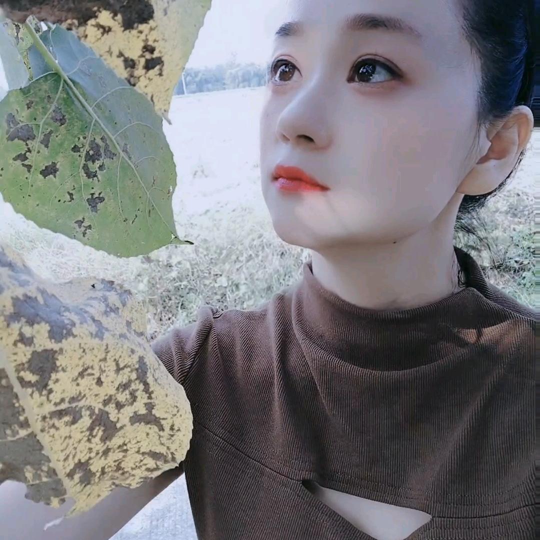 飘.摇