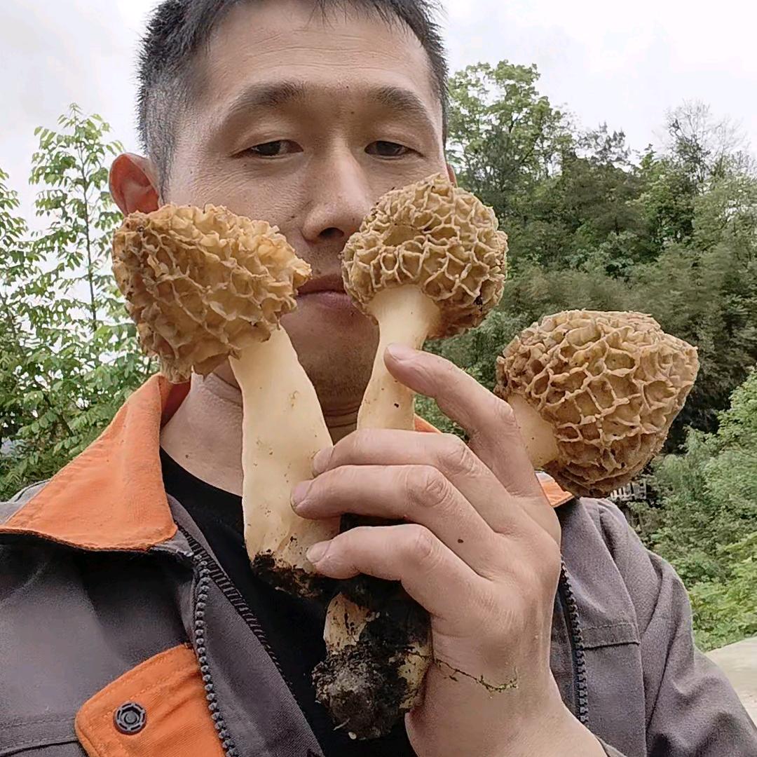 大王