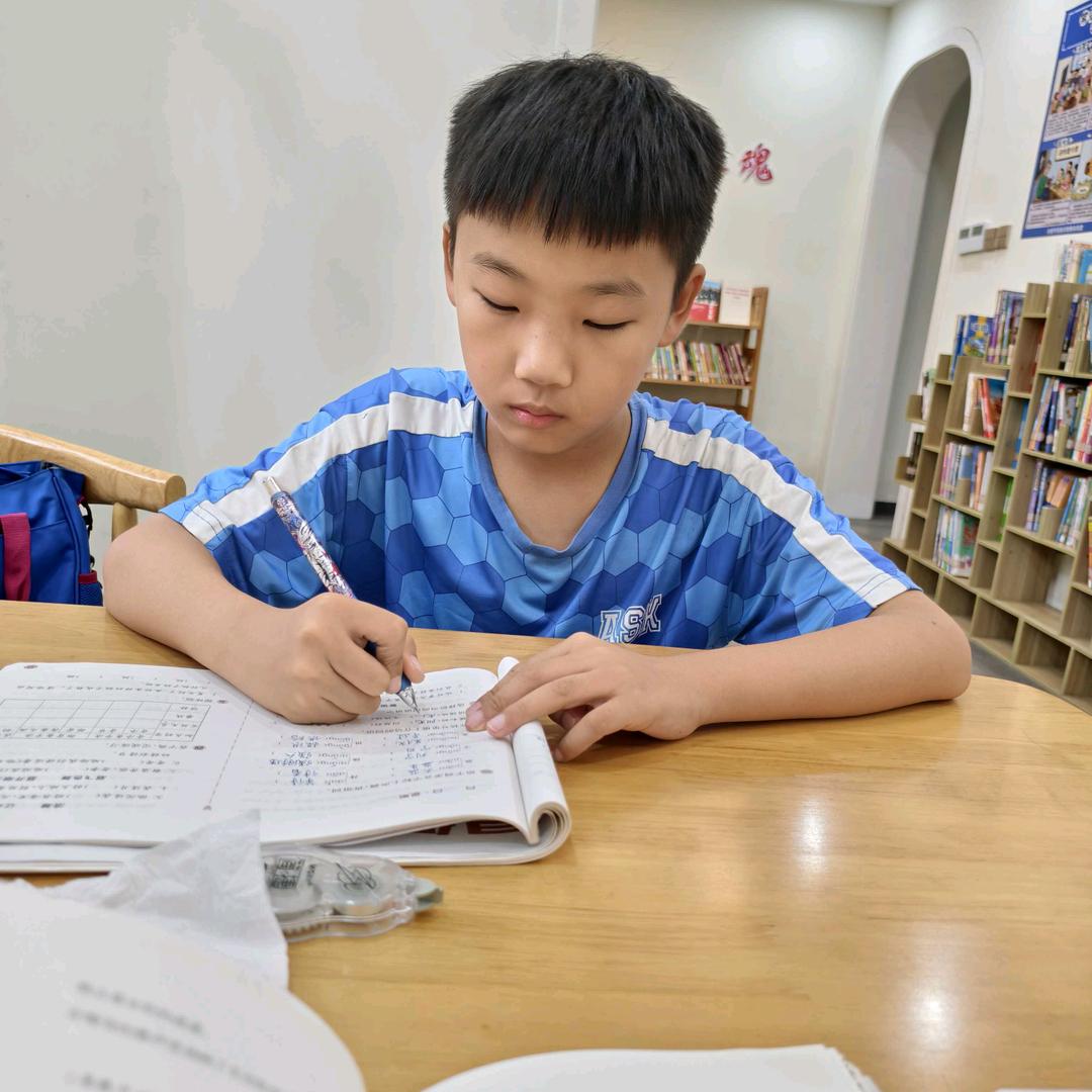 小不点成长记（下午2点10分首播）