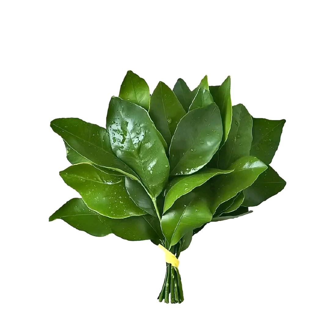 Di迪