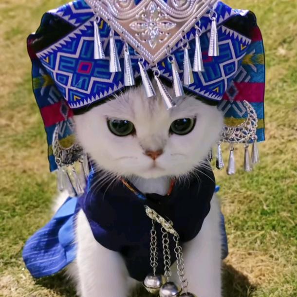 ¶花开富贵(ﾉ•ヮ•)ﾉ🌺