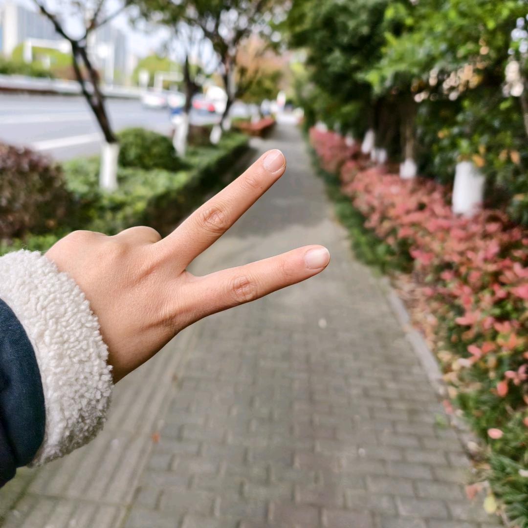 玲玲同学
