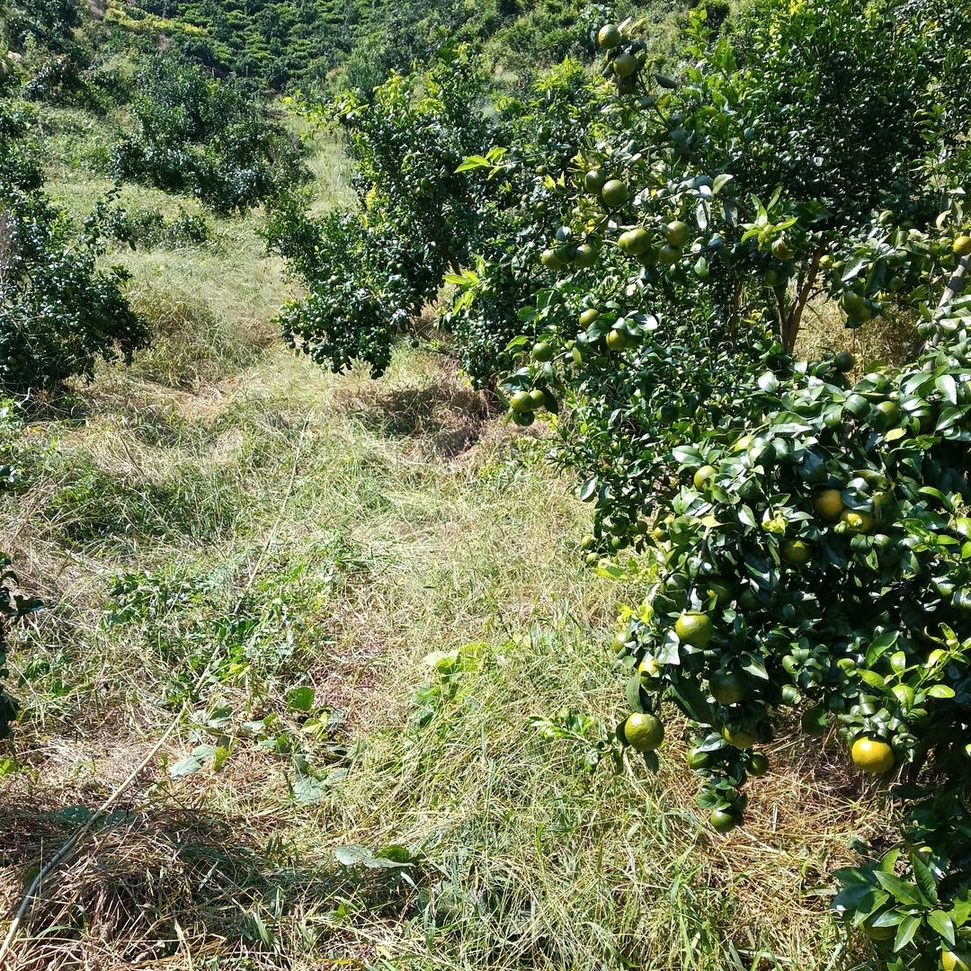 户5401886967800居胜精选短剧