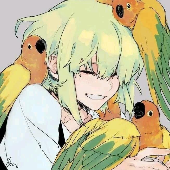 长太帅坐公交被十七个美女轮番让座