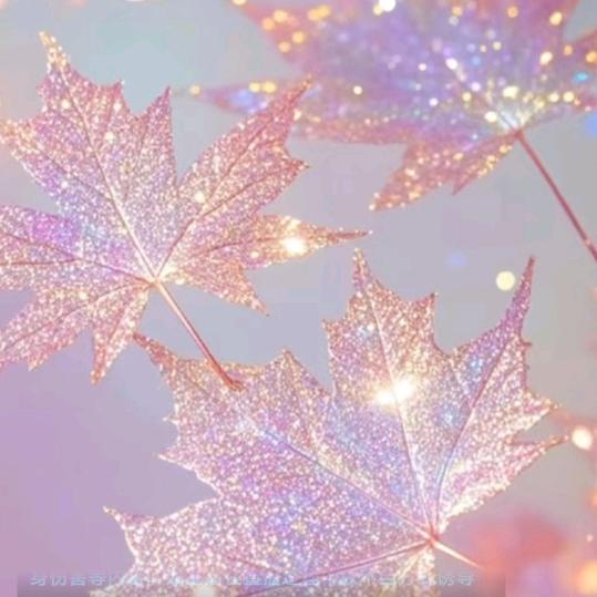 🌹🌹🌹沙漠玫瑰🌹🌹🌹