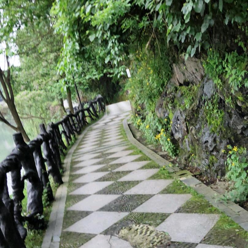 鸿运天开