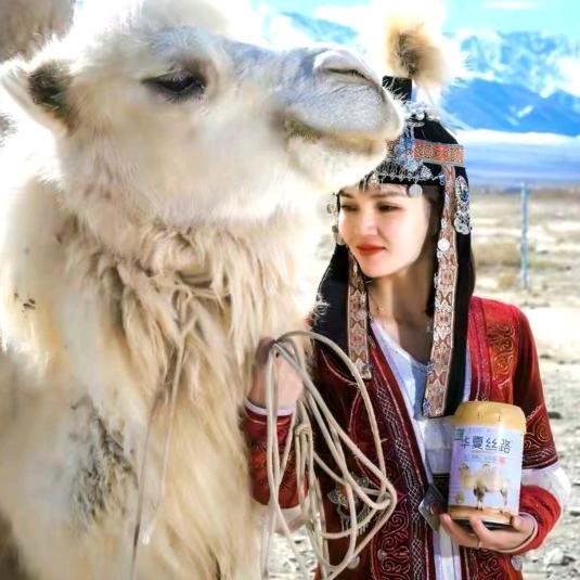 华夏丝路驼奶粉官旗店