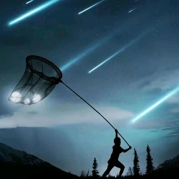 白杨🔥