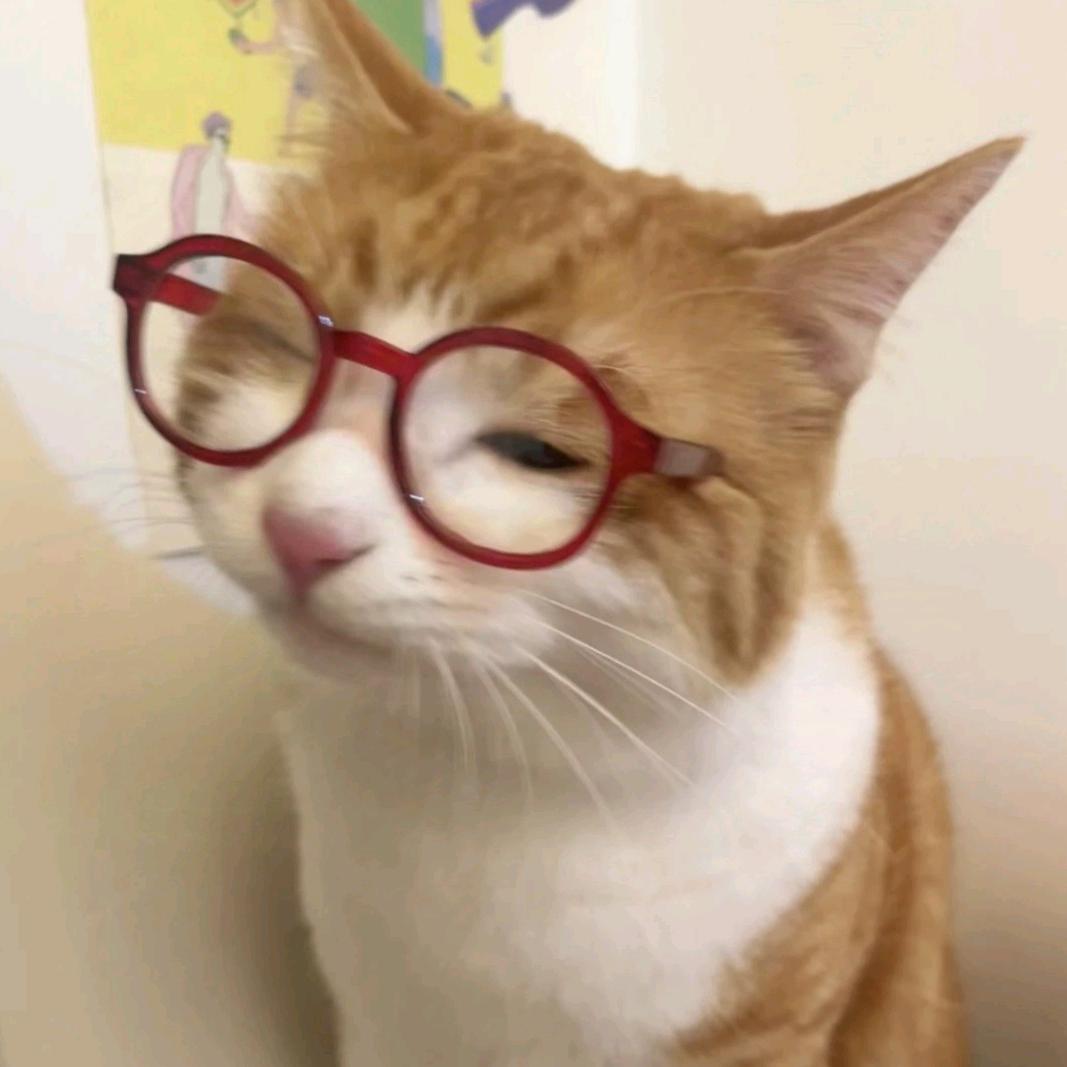 扒拉扒拉