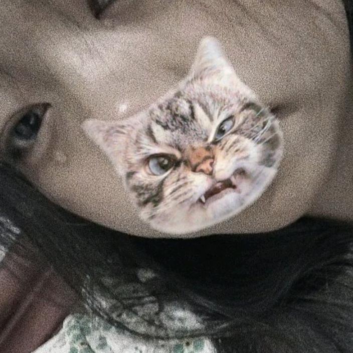 泪点模糊^.