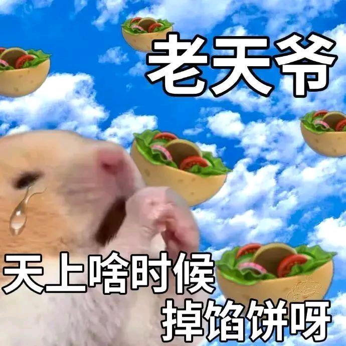甲颜悦色-星星