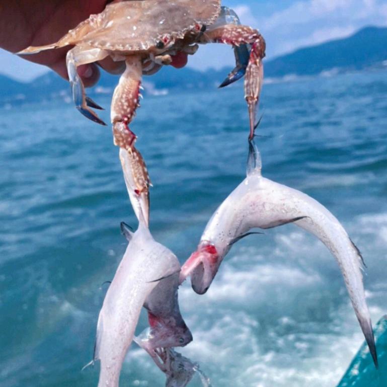 跟着船长吃海鲜