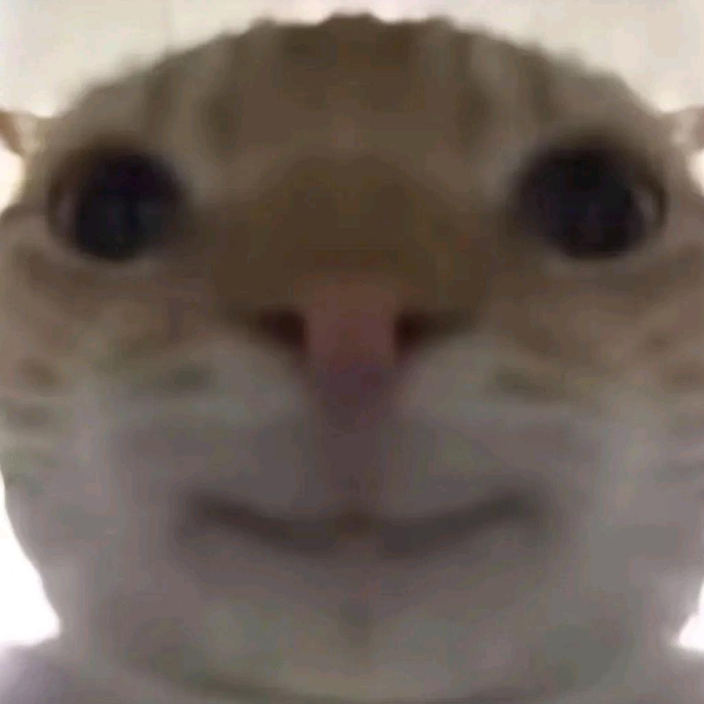 roo bot
