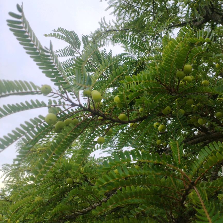 你是我最放心不下的人