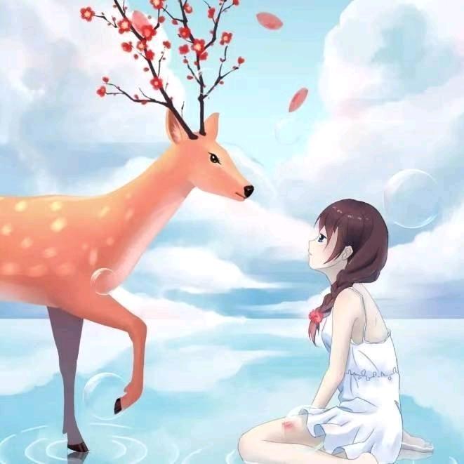 半枝篱疏头像