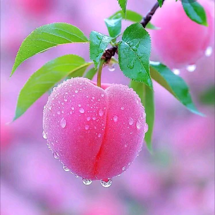 《人走心不走💘可以做朋友》