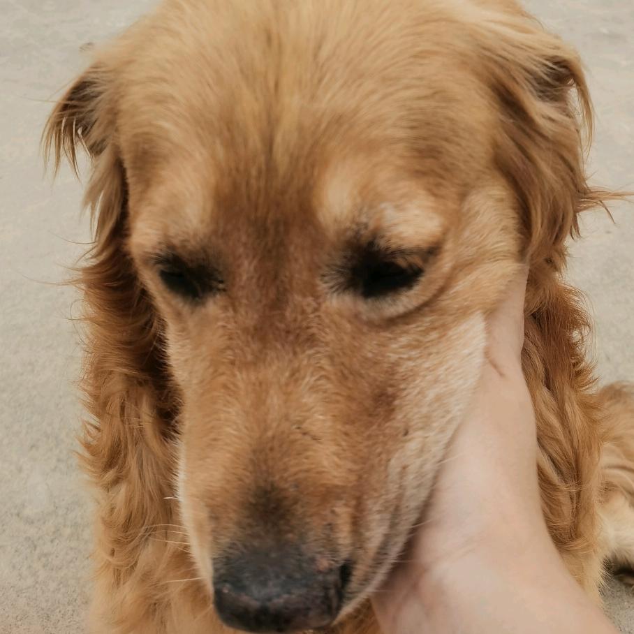 。。。。。？？？？。